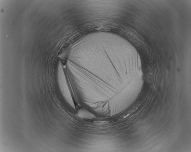 X0000066940748200604211749