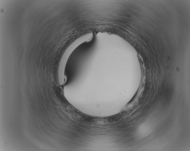 X0000066940750200604211749