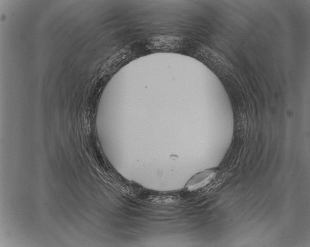 X0000066940751200604211749