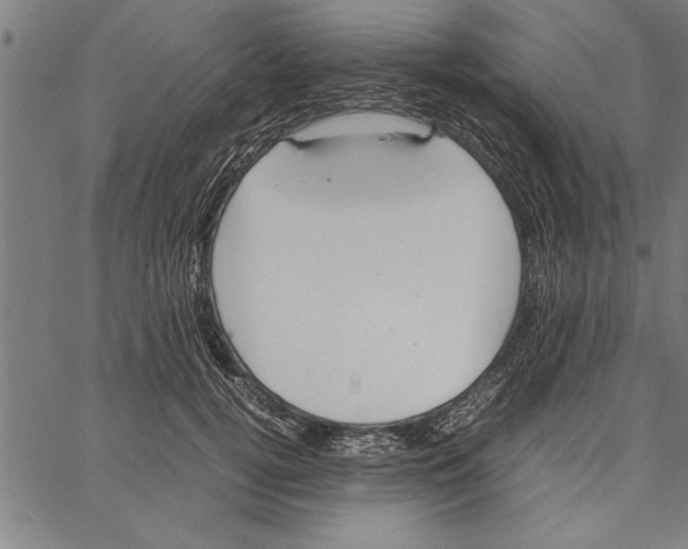 X0000066940752200604211749