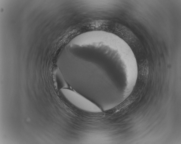 X0000066940754200604211749