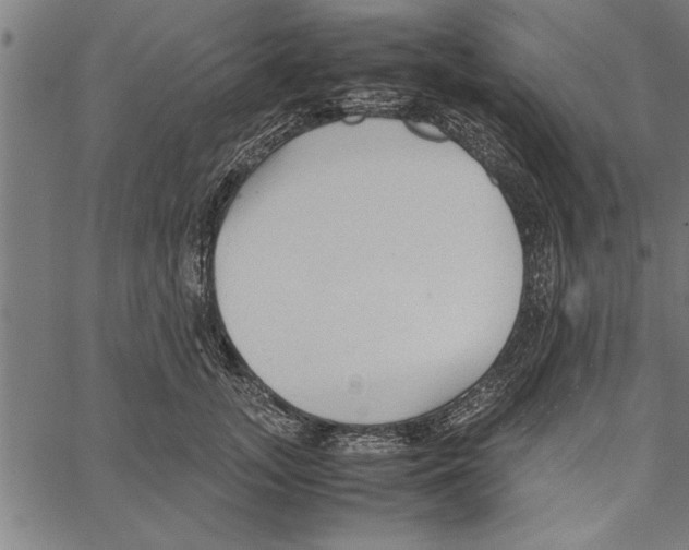 X0000066940755200604211749