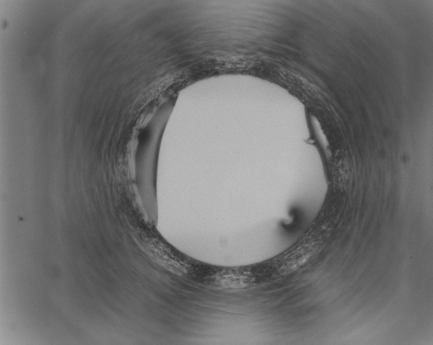 X0000066940756200604211749