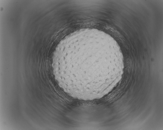 X0000066940757200604211750