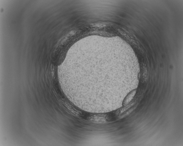 X0000066940758200604211750