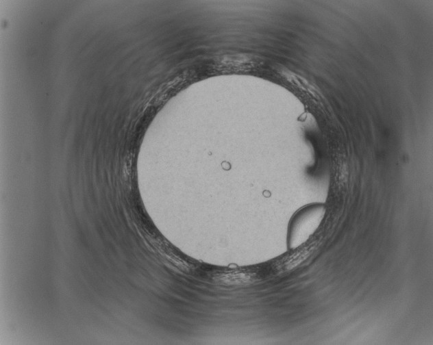 X0000066940759200604211750