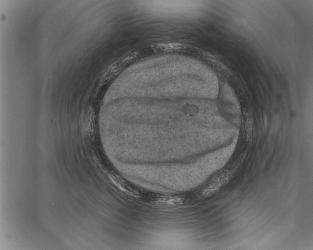 X0000066940760200604211750