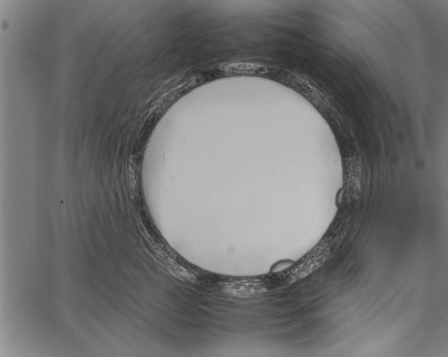 X0000066940761200604211750