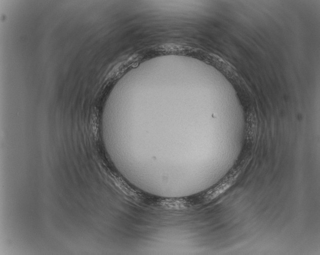 X0000066940762200604211750