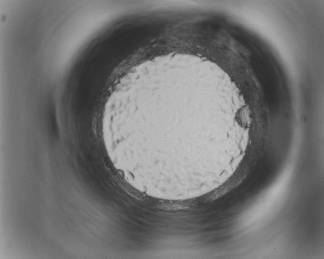 X0000066940765200604211750