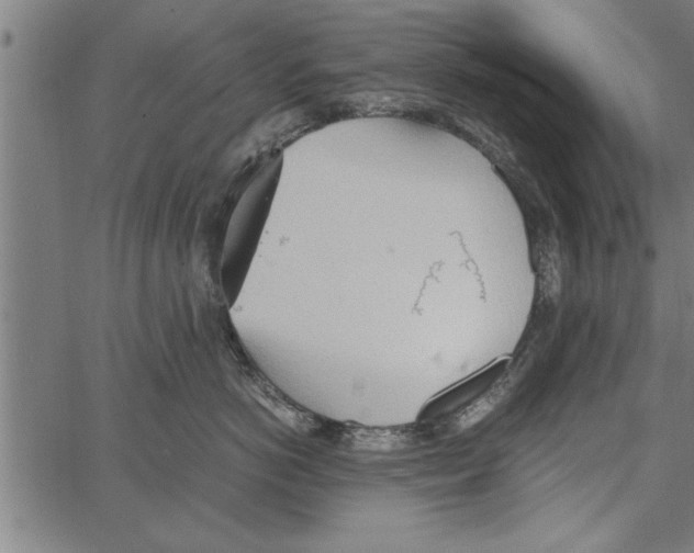 X0000066940766200604211750