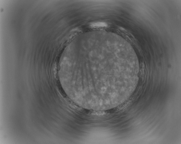 X0000066940767200604211750