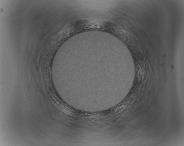 X0000066940769200604211749