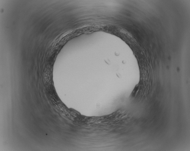 X0000066940773200604211749