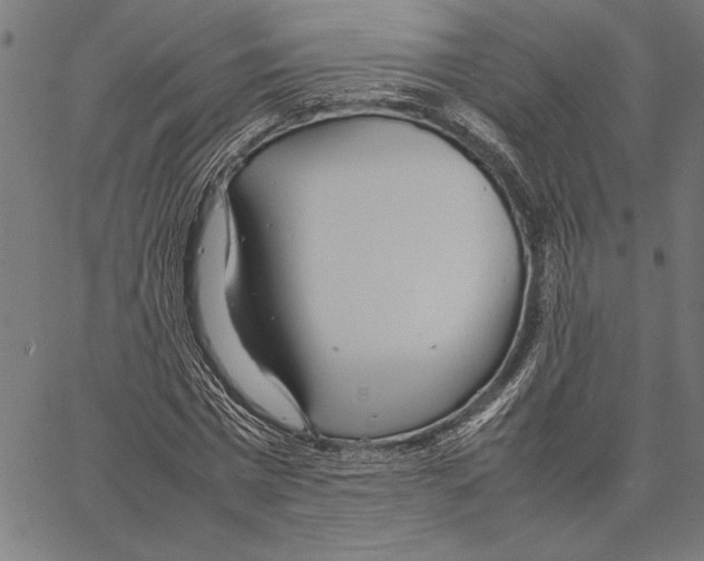 X0000066940777200604211749