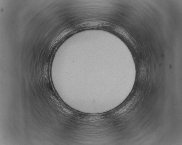 X0000066940778200604211749