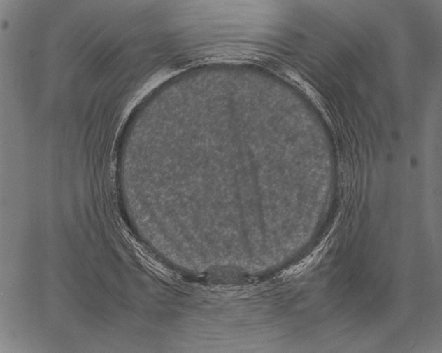 X0000066940779200604211749