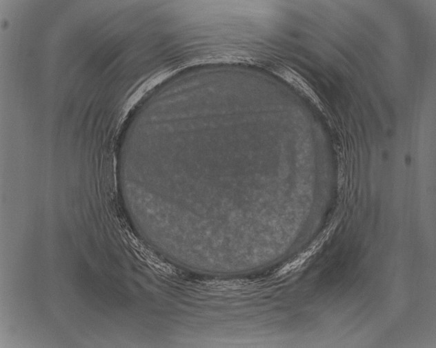 X0000066940781200604211749