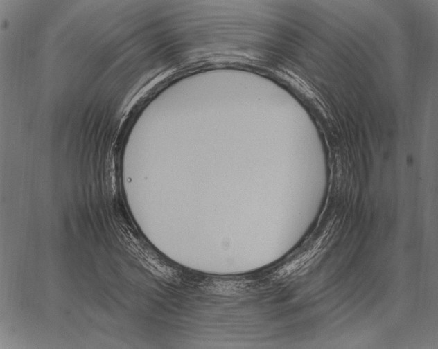 X0000066940782200604211749