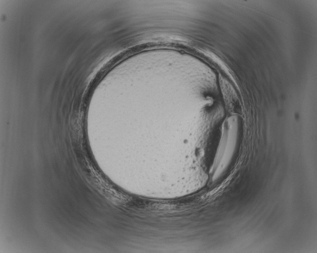 X0000066940783200604211749