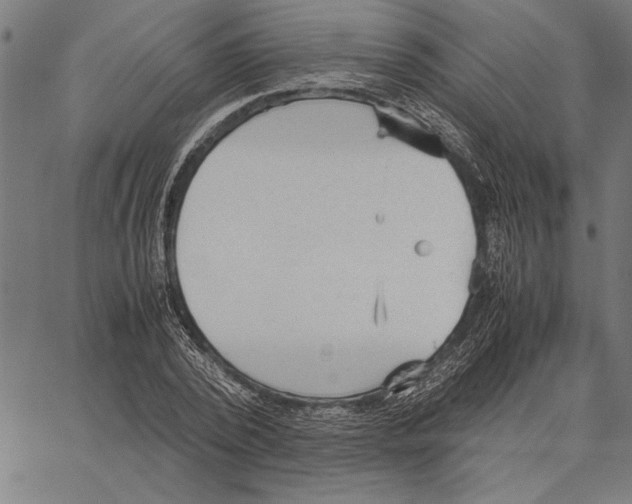 X0000066940784200604211749