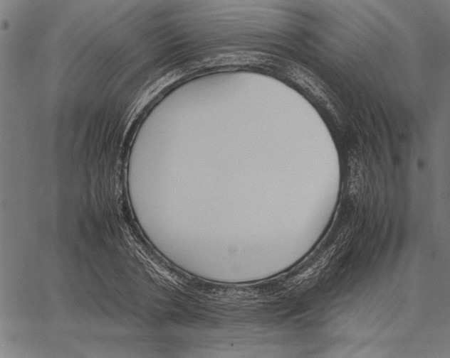 X0000066940786200604211749