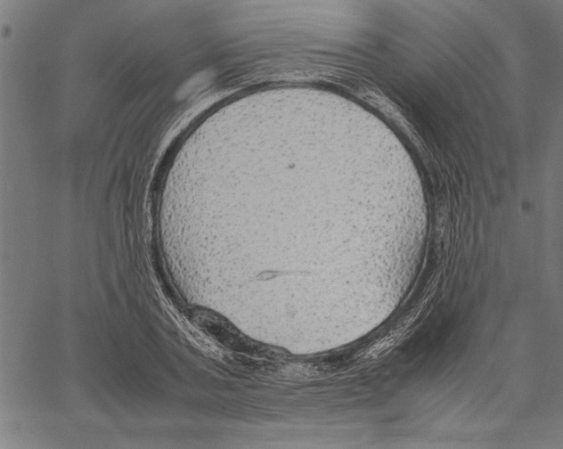 X0000066940787200604211749