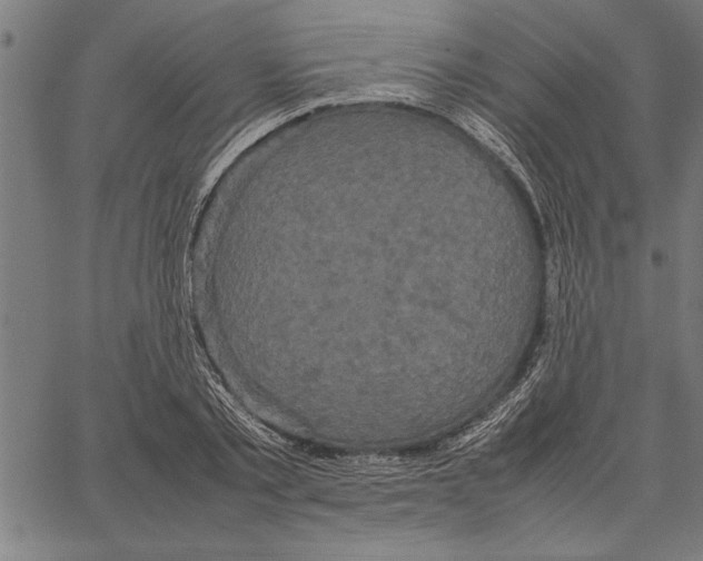 X0000066940789200604211749