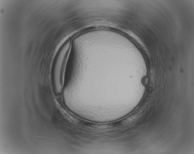 X0000066940791200604211749