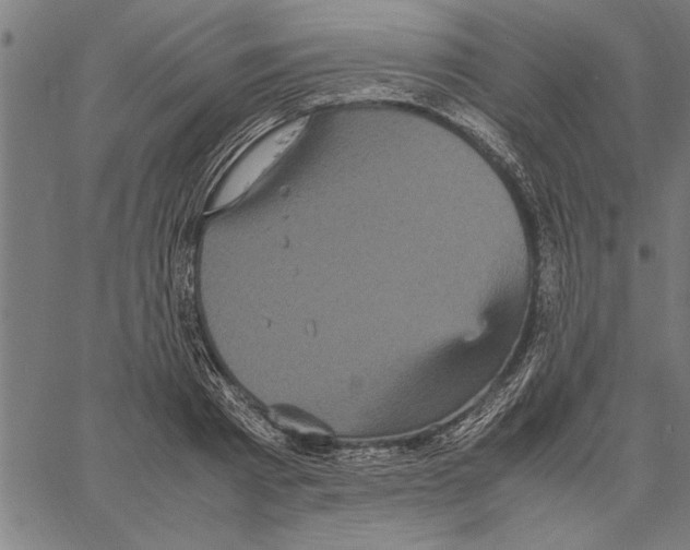 X0000066940793200604211749