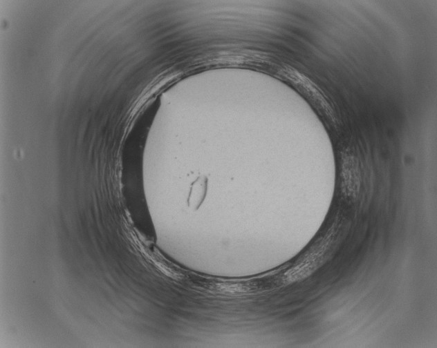 X0000066940794200604211749