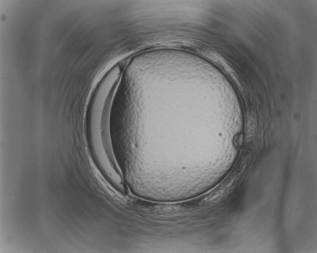 X0000066940795200604211748