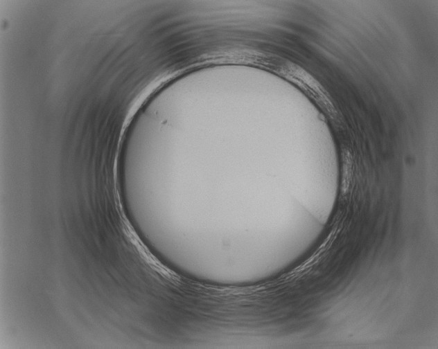 X0000066940796200604211748