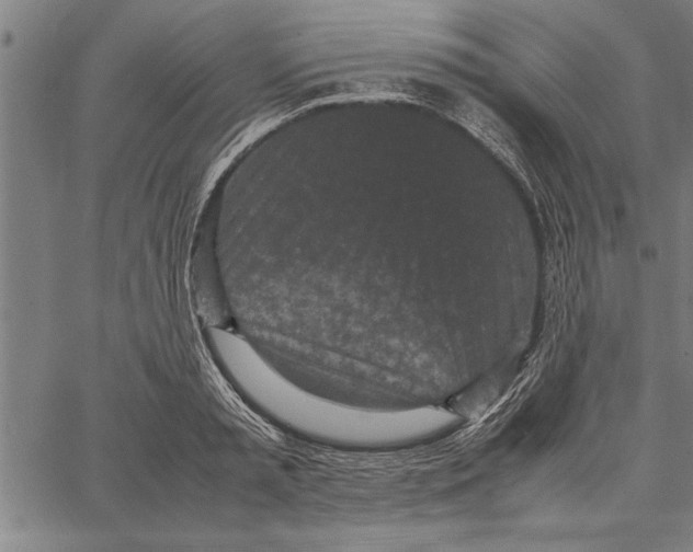 X0000066940797200604211748