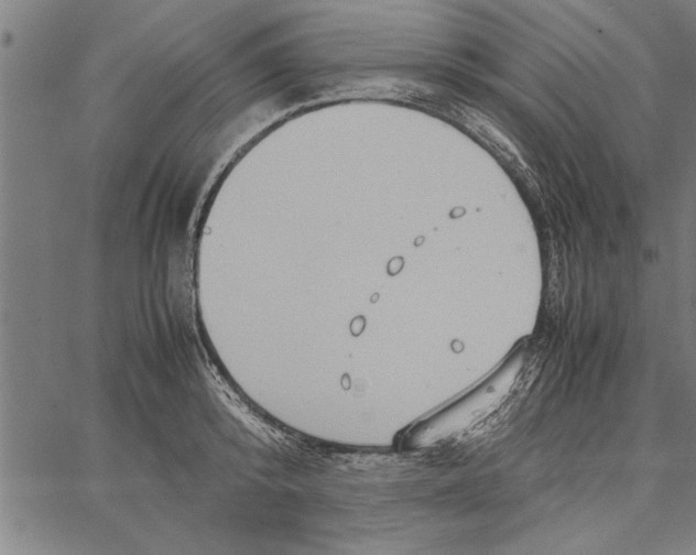 X0000066940800200604211748