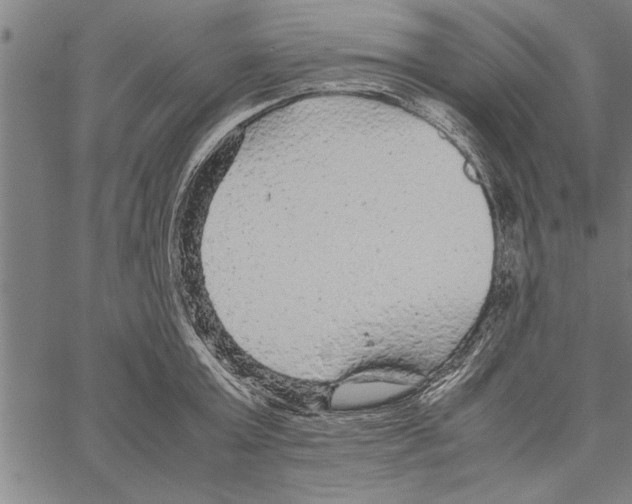 X0000066940803200604211748