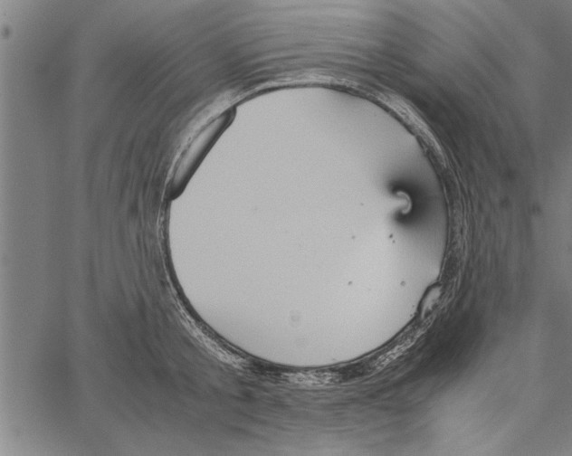 X0000066940805200604211748