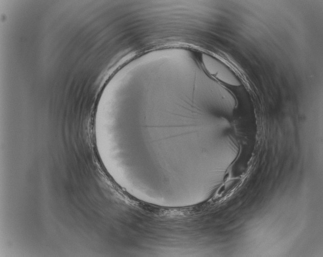 X0000066940806200604211748