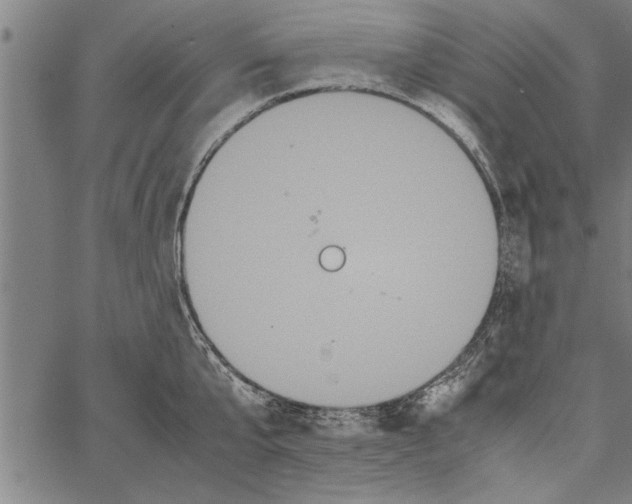 X0000066940807200604211748