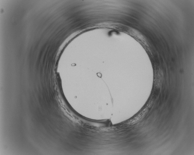 X0000066940808200604211748