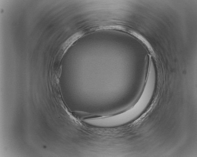 X0000066940809200604211748