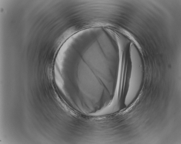 X0000066940810200604211748