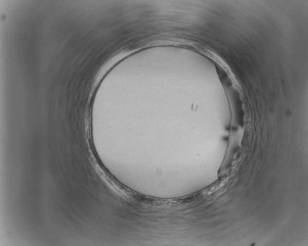 X0000066940811200604211748