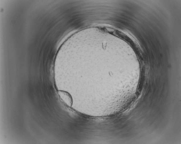 X0000066940814200604211748