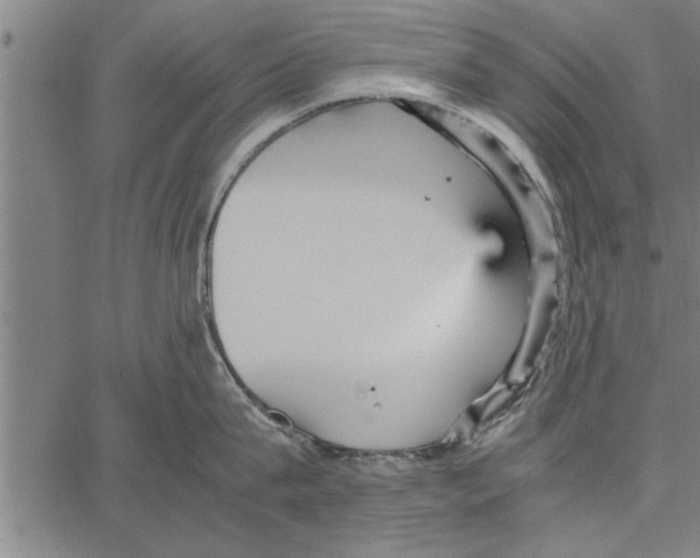 X0000066940815200604211748