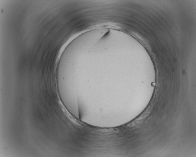 X0000066940816200604211748