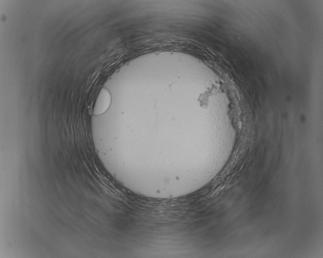 X0000066940820200604211747