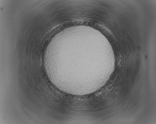 X0000066940821200604211747