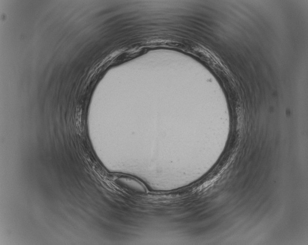 X0000066940825200604211747