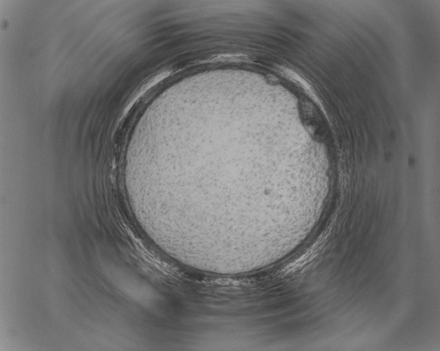 X0000066940827200604211748